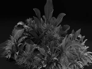 Plants collection 445 Modèle 3D