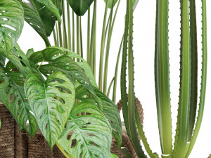 Plants collection 446 Modello 3D