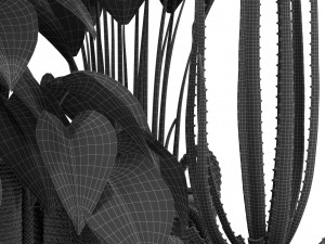 Plants collection 446 Modello 3D
