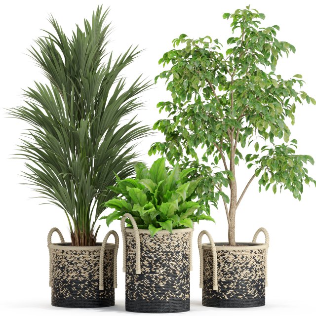 Plants collection 447 3D Модель .c4d .max .obj .3ds .fbx .stl .blend 