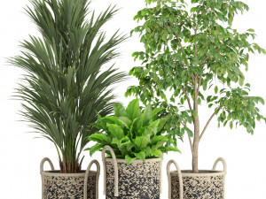 Plants collection 447 3D मॉडल