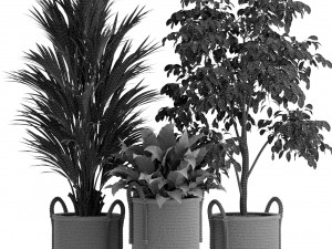 Plants collection 447 3D Модель