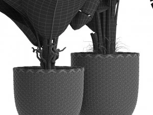 Plants collection 449 3D Model