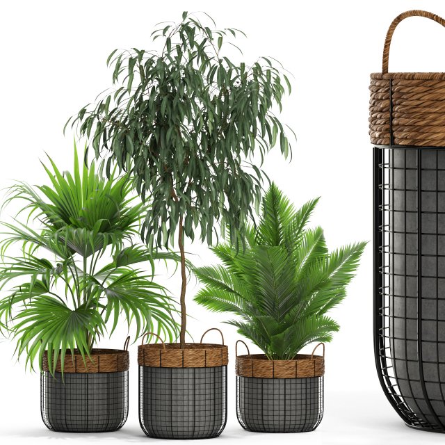 Plants collection 450 3D Model .c4d .max .obj .3ds .fbx .stl .blend