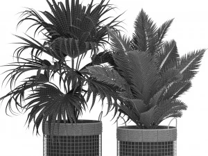 Plants collection 450 3D Model