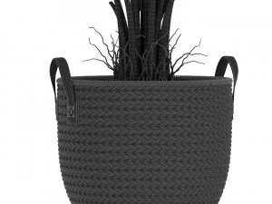 Plants collection 451 3D Model