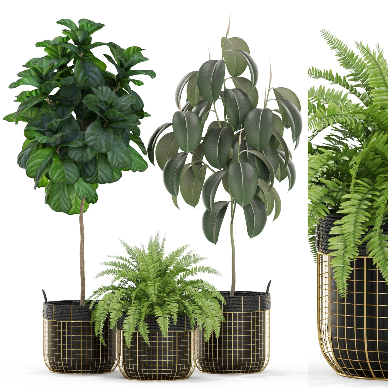 Plants collection 452 3D Model .c4d .max .obj .3ds .fbx .stl .blend 