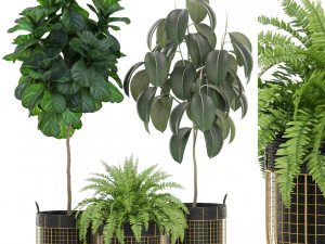 पौधों का संग्रह 452 3D मॉडल