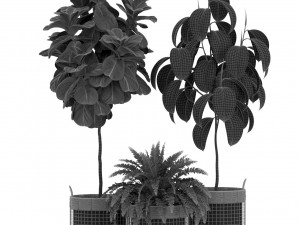 Plants collection 452 3D 模型