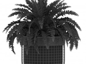 Plants collection 452 3D 模型