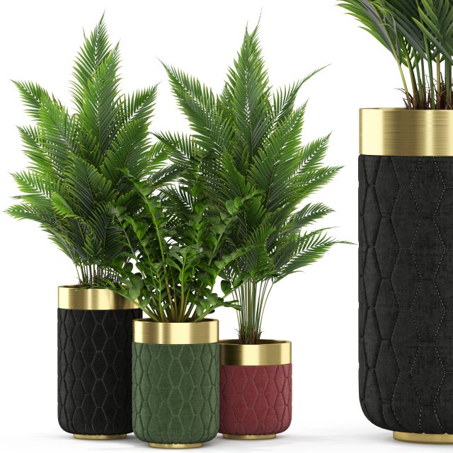 Plants collection 453 3D Model .c4d .max .obj .3ds .fbx .stl .blend 