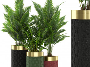 Plants collection 453 3D Модель