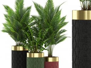 Kolekcja roślin 453 Model 3D