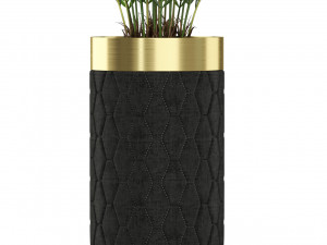 Plants collection 453 3D Model