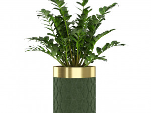 Plants collection 453 3D Model