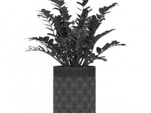 Plants collection 453 3D Model