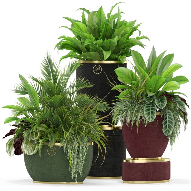 Plants collection 454 3D 模型 .c4d .max .obj .3ds .fbx .stl .blend