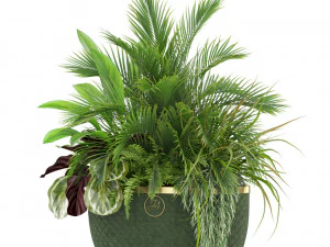 Plants collection 454 3D Model