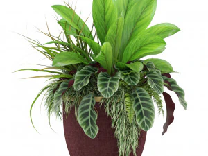 Plants collection 454 3D Model
