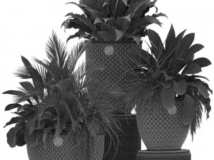 Plants collection 454 3D Model