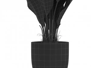Plants collection 455 3D Model