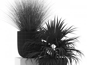 Plants collection 455 3D Model