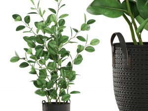 Plants collection 456 3D Модель