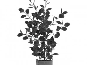 Plants collection 456 3D Model