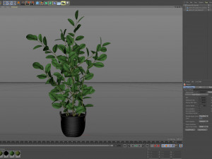Plants collection 456 Model 3D