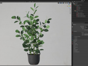 Plants collection 456 Model 3D