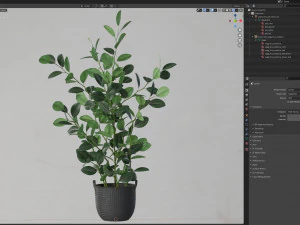 Plants collection 456 3D Model