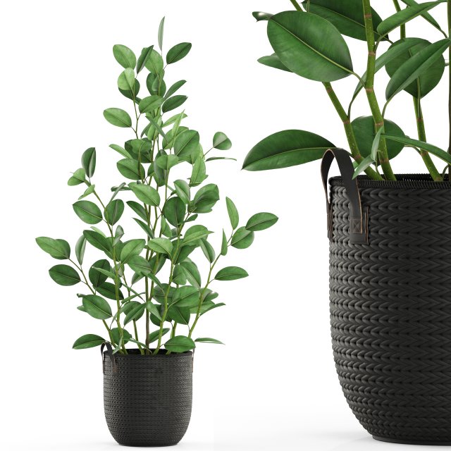 Plants collection 457 3D Modell .c4d .max .obj .3ds .fbx .stl .blend