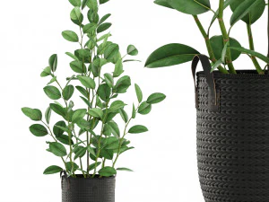 Colecci&oacute;n de plantas 457 Modelo 3D