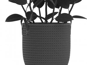 Plants collection 457 3D Model