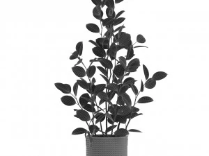 Plants collection 457 3D Model
