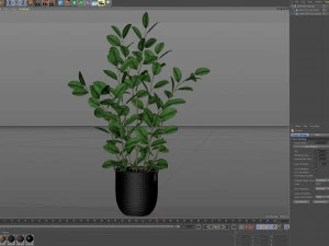 Plants collection 457 3D Model
