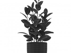 Plants collection 458 3D Модель