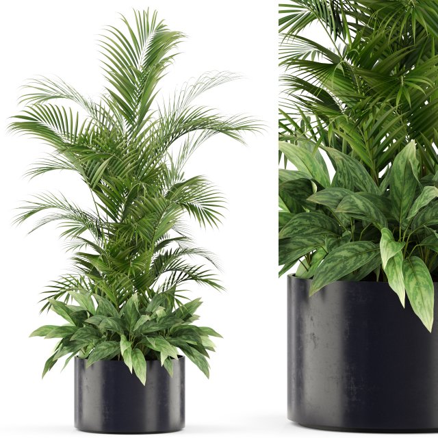 Plants collection 459 Modelo 3D .c4d .max .obj .3ds .fbx .stl .blend 
