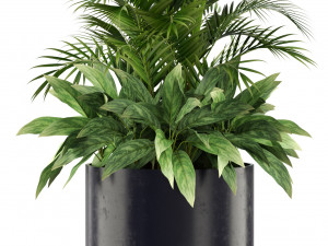 Plants collection 459 Modelo 3D