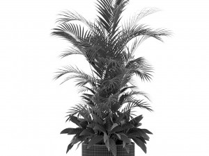 Plants collection 459 Modelo 3D