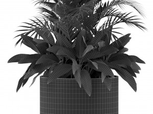 Plants collection 459 Modelo 3D