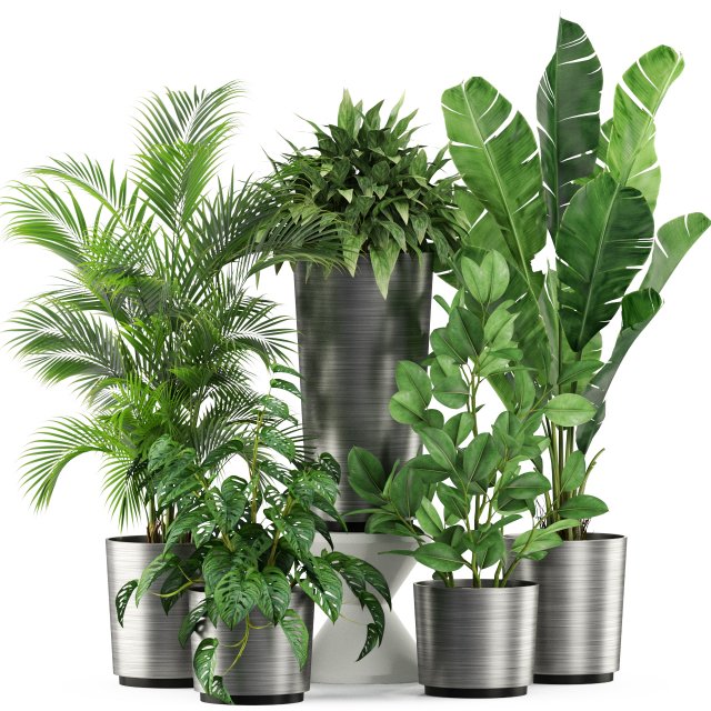 Plants collection 460 3D Model .c4d .max .obj .3ds .fbx .stl .blend 