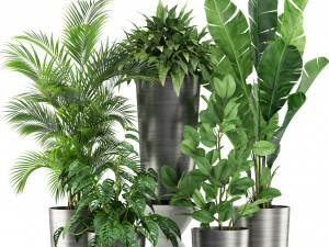 Plants collection 460 3D Модель