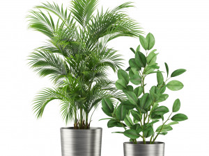 Plants collection 460 3D Model