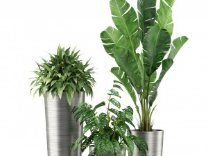 Plants collection 460 3D Model