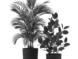Plants collection 460 3D Model
