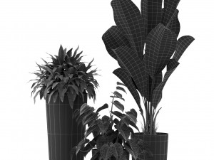 Plants collection 460 3D Model