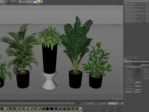 Plants collection 460 3D Model