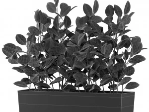 Plants collection 461 3D Model