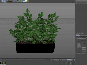 Plants collection 461 3D Model
